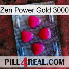 Zen Power Gold 3000 13